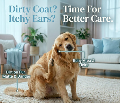 CLYN with MR.SHEET Dog Shampoo Sheets | 10 Plant-Based Bath Sheets
